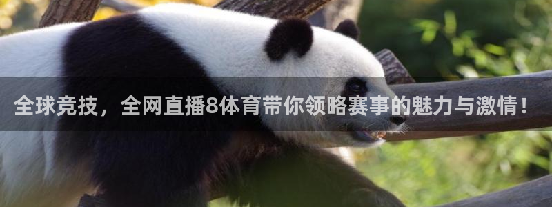 咪咕体育免费观看