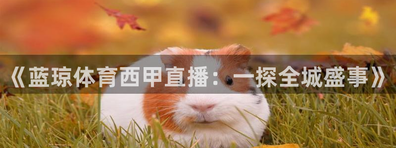 咪咕体育免费观看