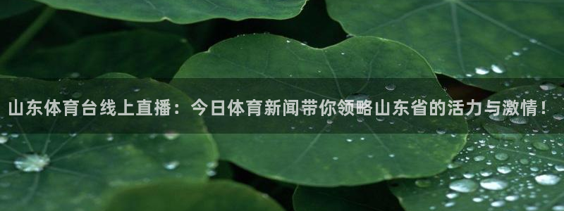 咪咕体育在线看
