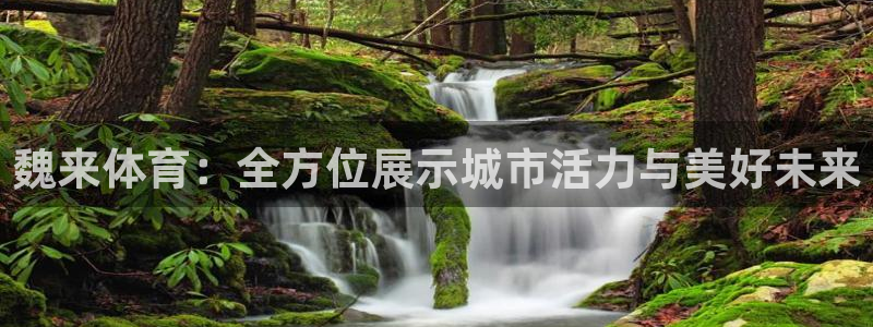 咪咕体育直播